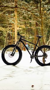 Preview wallpaper bike, forest, snow