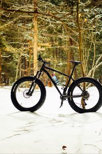 Preview wallpaper bike, forest, snow