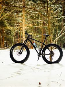 Preview wallpaper bike, forest, snow