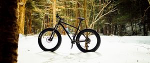 Preview wallpaper bike, forest, snow