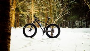 Preview wallpaper bike, forest, snow