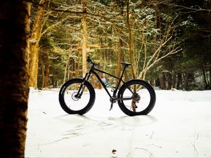 Preview wallpaper bike, forest, snow