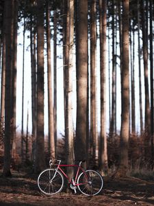 Preview wallpaper bike, forest, trees, sport