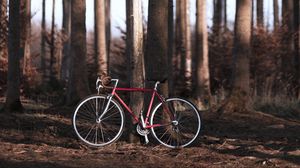 Preview wallpaper bike, forest, trees, sport