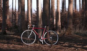 Preview wallpaper bike, forest, trees, sport