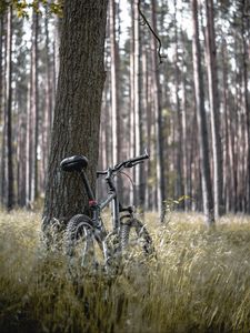 Preview wallpaper bike, forest, trees, walk