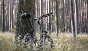 Preview wallpaper bike, forest, trees, walk