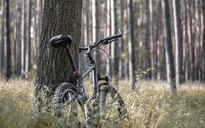 Preview wallpaper bike, forest, trees, walk