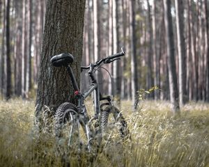 Preview wallpaper bike, forest, trees, walk