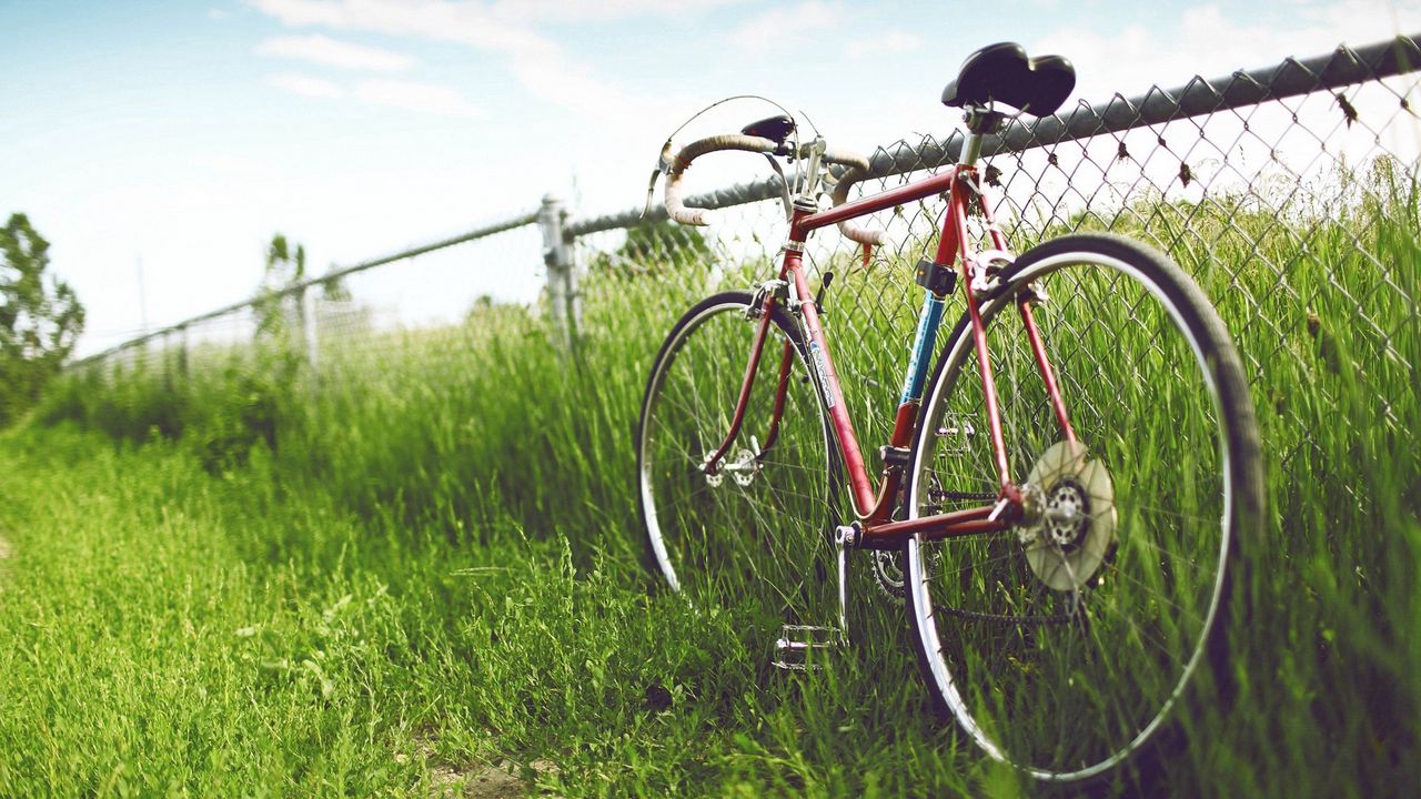 Wallpaper bike, grass, street