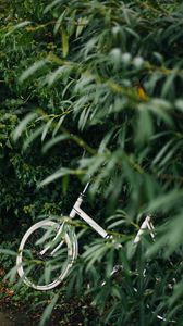 Preview wallpaper bike, leaves, branches, green