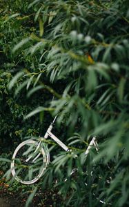 Preview wallpaper bike, leaves, branches, green