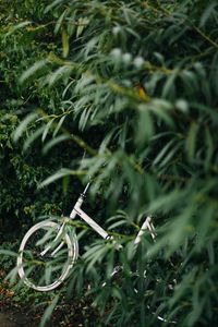 Preview wallpaper bike, leaves, branches, green