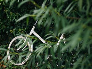 Preview wallpaper bike, leaves, branches, green