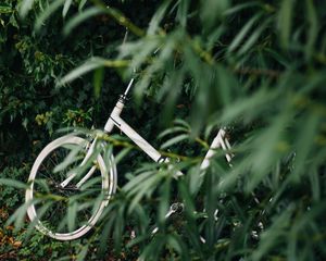 Preview wallpaper bike, leaves, branches, green