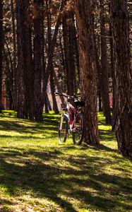 Preview wallpaper bike, park, trees, nature