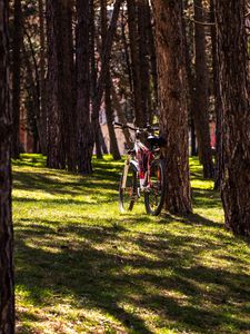 Preview wallpaper bike, park, trees, nature