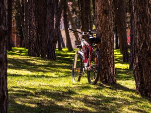 Preview wallpaper bike, park, trees, nature