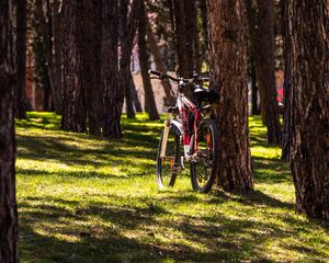 Preview wallpaper bike, park, trees, nature