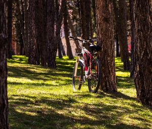 Preview wallpaper bike, park, trees, nature