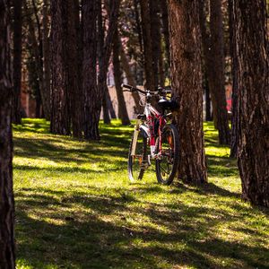 Preview wallpaper bike, park, trees, nature