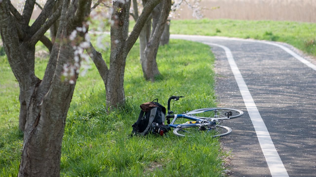 Wallpaper bike, path, sakura, trees, grass