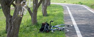 Preview wallpaper bike, path, sakura, trees, grass