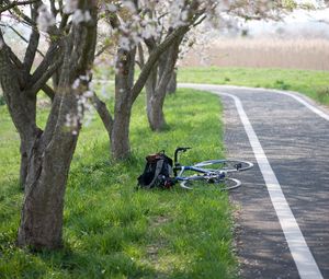 Preview wallpaper bike, path, sakura, trees, grass