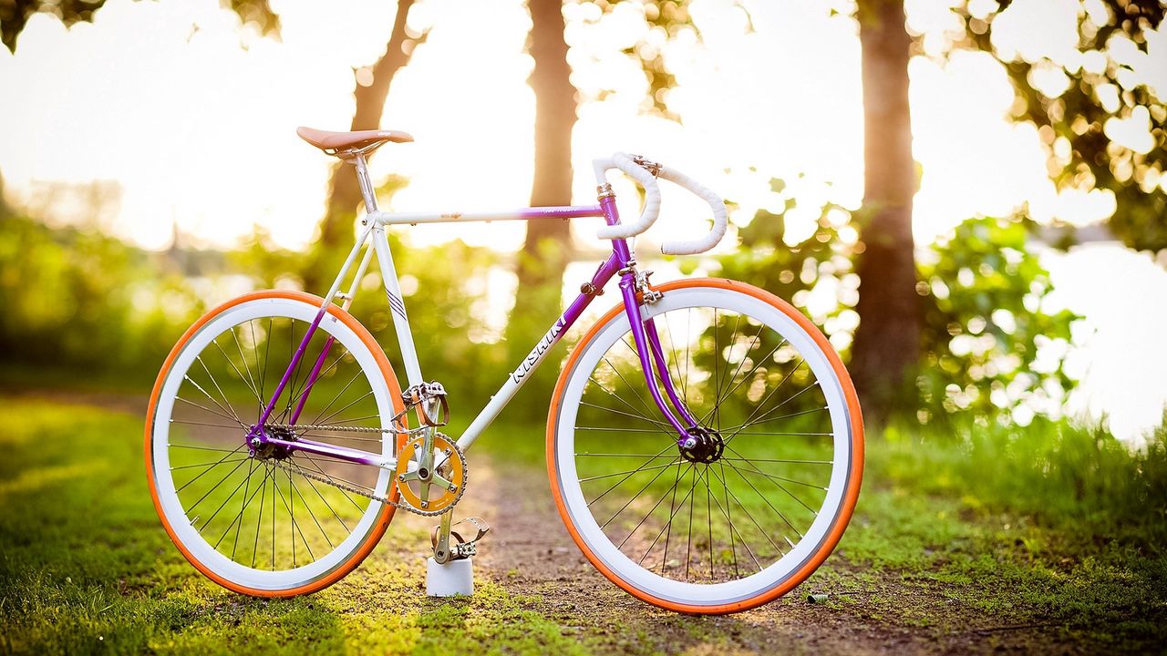 Wallpaper bike, summer, spring, sun, mood