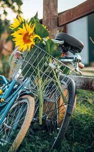 Preview wallpaper bike, sunflowers, flowers, basket