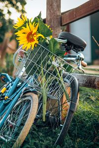 Preview wallpaper bike, sunflowers, flowers, basket