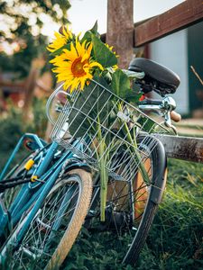 Preview wallpaper bike, sunflowers, flowers, basket