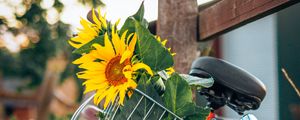 Preview wallpaper bike, sunflowers, flowers, basket