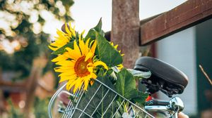 Preview wallpaper bike, sunflowers, flowers, basket