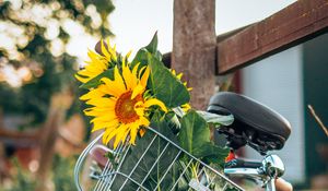 Preview wallpaper bike, sunflowers, flowers, basket