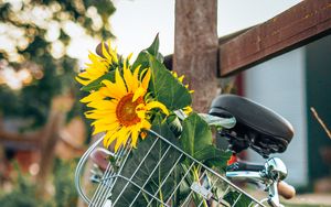 Preview wallpaper bike, sunflowers, flowers, basket