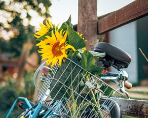 Preview wallpaper bike, sunflowers, flowers, basket