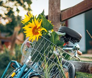 Preview wallpaper bike, sunflowers, flowers, basket