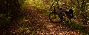 Preview wallpaper bike, trail, leaves, trees, autumn