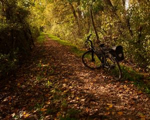 Preview wallpaper bike, trail, leaves, trees, autumn