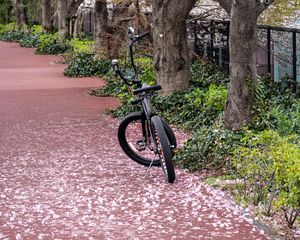 Preview wallpaper bike, trail, petals, trees, spring