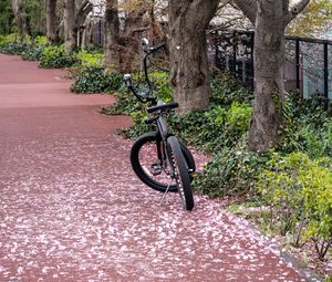 Preview wallpaper bike, trail, petals, trees, spring