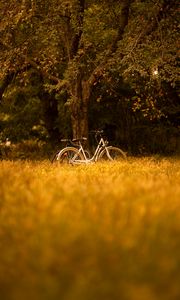 Preview wallpaper bike, transport, trees, forest