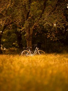 Preview wallpaper bike, transport, trees, forest