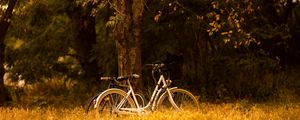 Preview wallpaper bike, transport, trees, forest