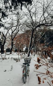 Preview wallpaper bike, trees, snow, winter