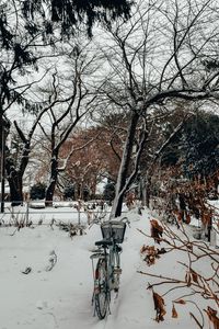 Preview wallpaper bike, trees, snow, winter