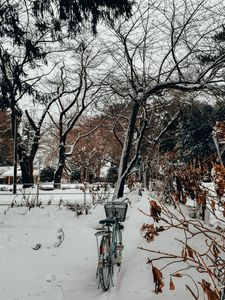 Preview wallpaper bike, trees, snow, winter