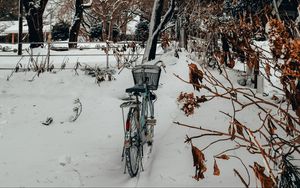 Preview wallpaper bike, trees, snow, winter