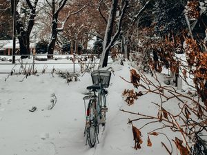 Preview wallpaper bike, trees, snow, winter